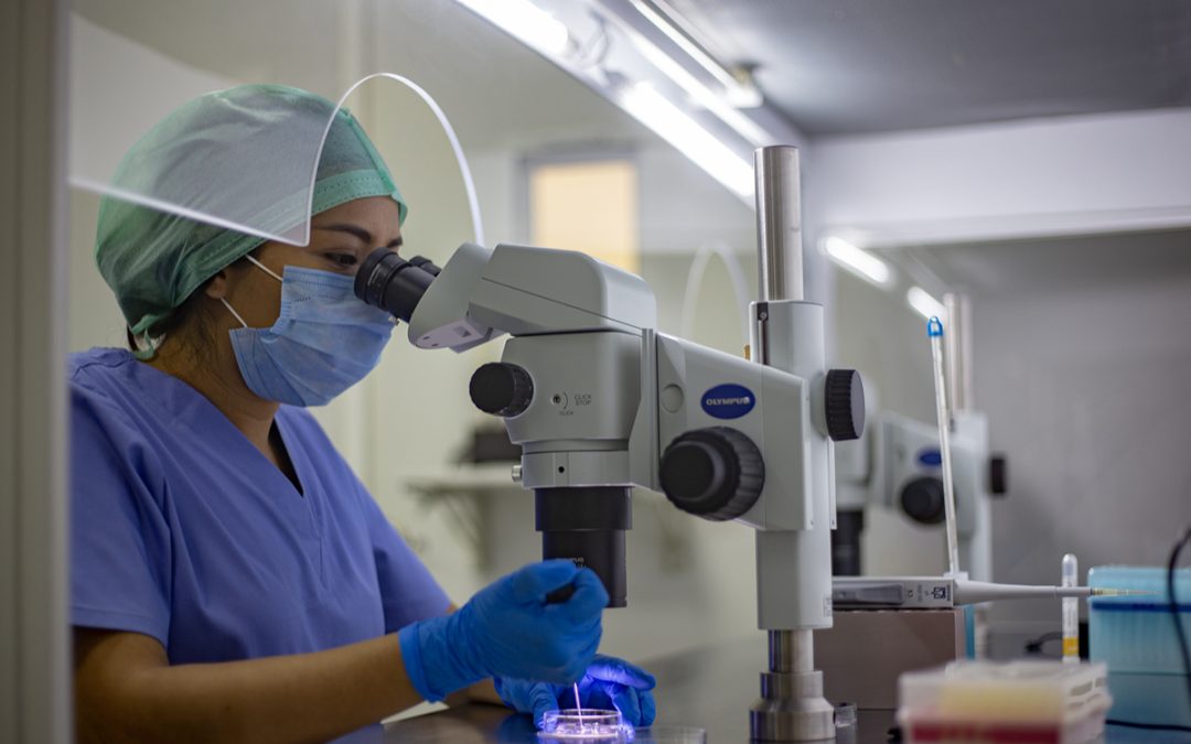 Guía Completa del Proceso Paso a Paso de la Fecundación In Vitro