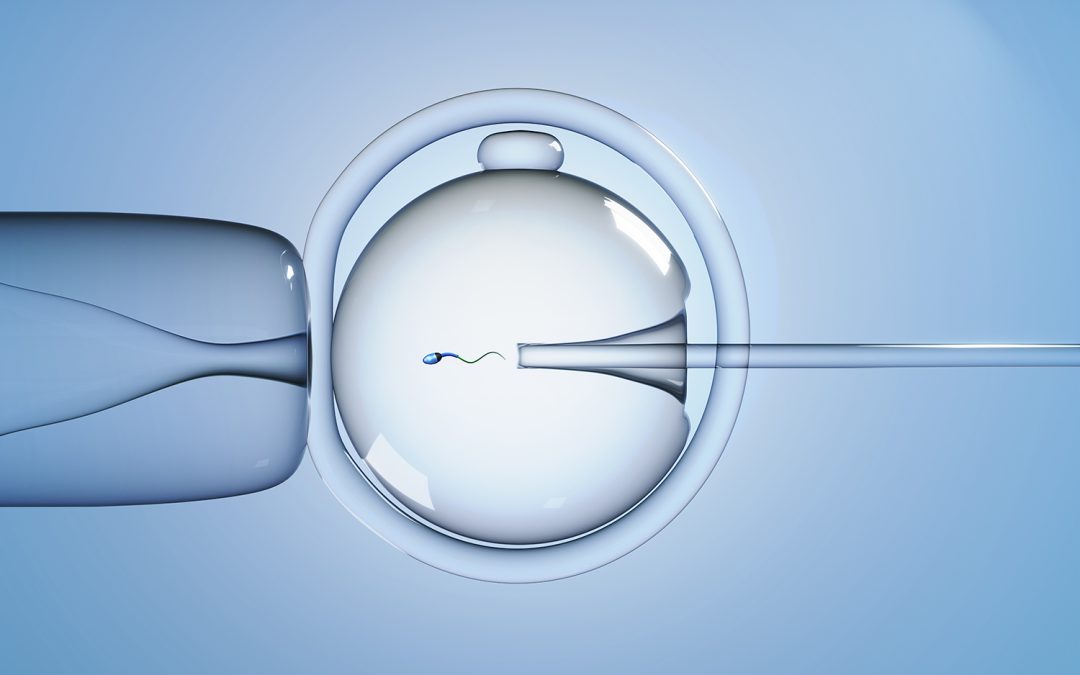 Introducción a la Fertilización In Vitro
