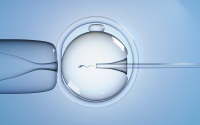 Introduction to in Vitro fertilization