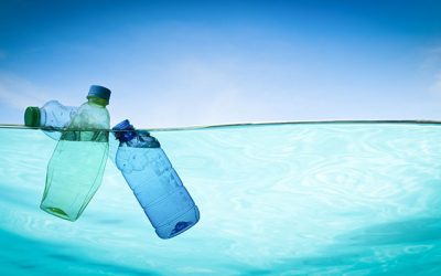 Microplastics and Fertility: A New Silent Risk?